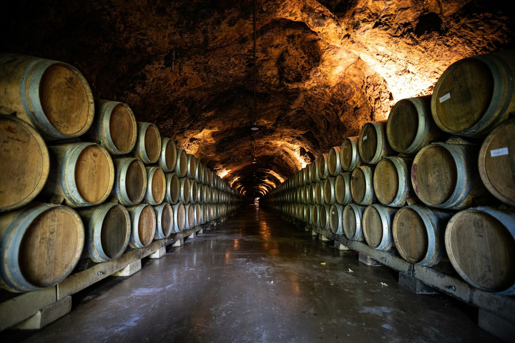 Oak barrels resting in the Lucky Hills cellar